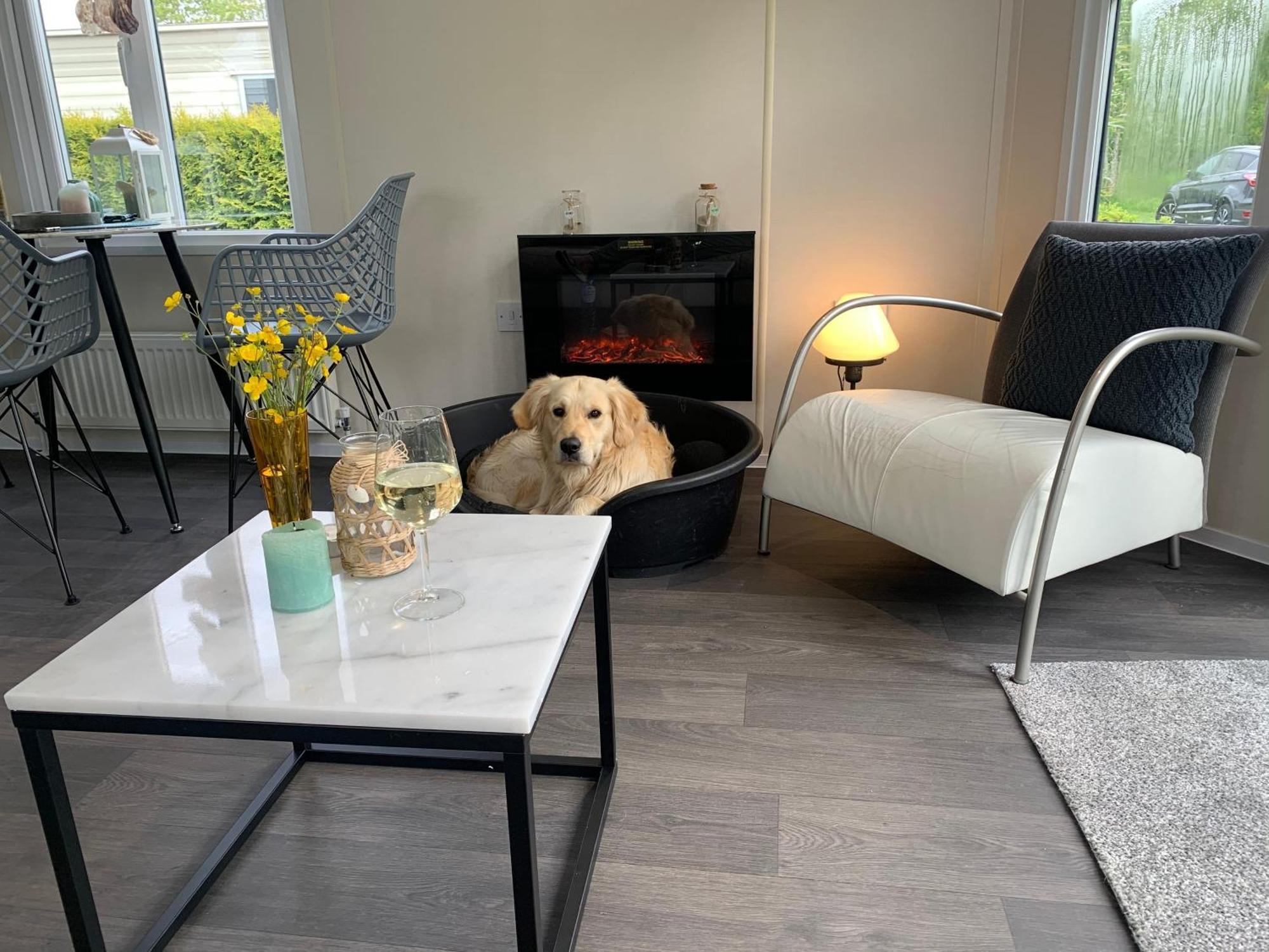 קלאנטסהוך Natur Pur, O4 Neues Ferienhaus Natureingebunden, Familien- Und Hundefreundlich Eingezaeunt מראה חיצוני תמונה
